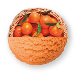 Sorbet de mandarina amb pastanaga Gebrati vainilla